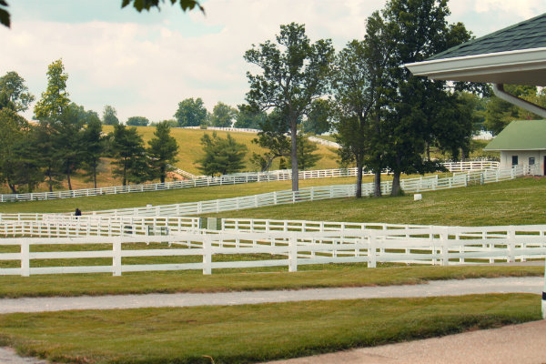 Darby Dan Farm pastures